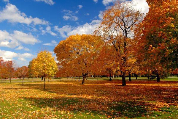 Der Herbst setzt Schönheit an einem sonnigen Tag ab