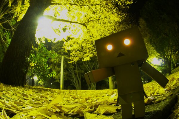 Danbo con una Caja en la cabeza y ojos brillantes en el bosque