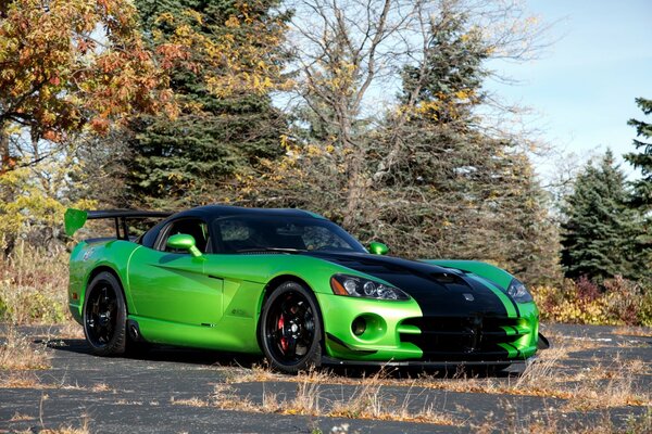 Coche de carreras verde de pie en el bosque