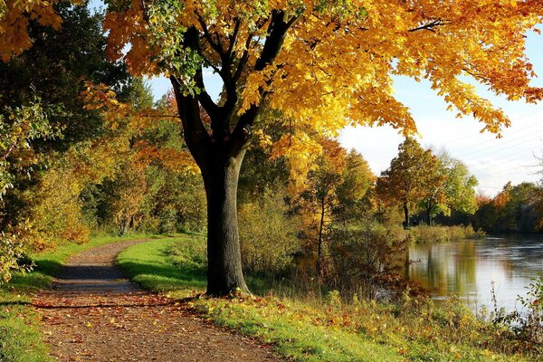 Schöne herbstliche Natur im Park