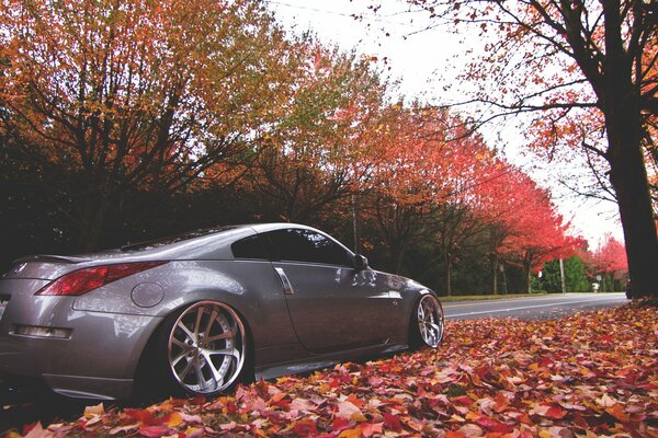 Nissan on an autumn street among fallen leaves