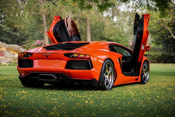 Lamborghini naranja para verdaderos amantes de la comida