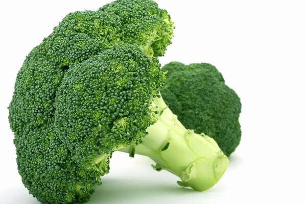 Cavolo di broccoli freschi verdi