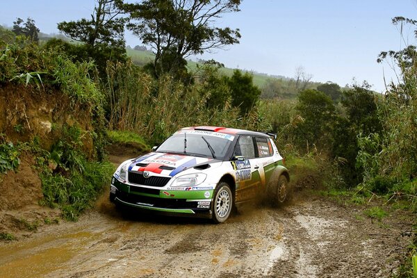 Skoda Fabia-la voiture n est pas à tout le monde. Convient pour ceux qui aiment la vitesse, la saleté et le sport automobile