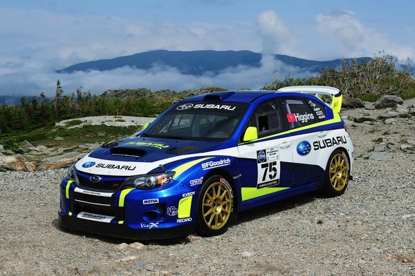 Voiture de rallye subaru sur fond de montagnes