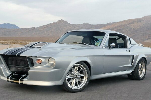 Mustang Shelby gt. Super auto!