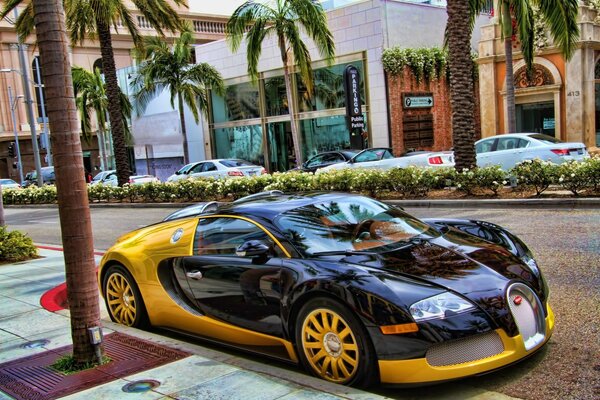Foto del superdeportivo bugatti negro y amarillo en la calle con palmeras