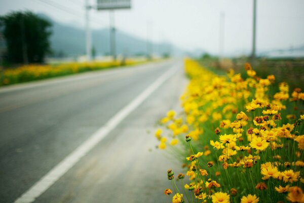 A highway with bright colors on the side of the road