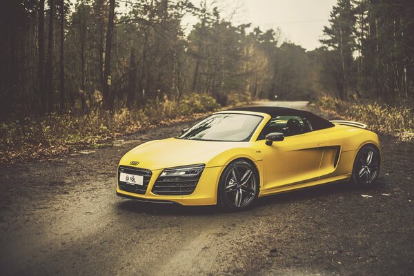 Audi jaune dans la forêt avec un beau filtre