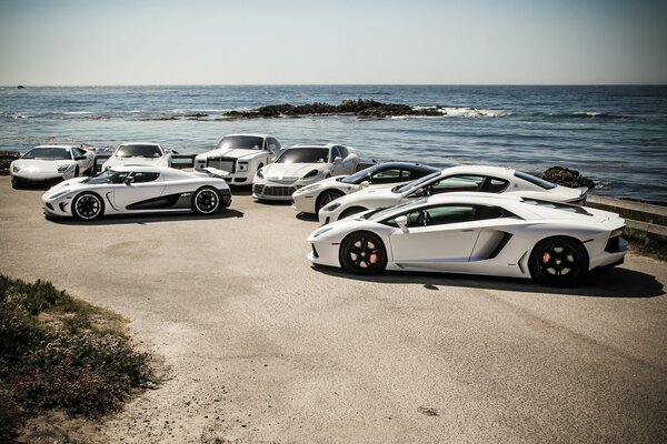 Lamborghini meeting, cars sunbathing