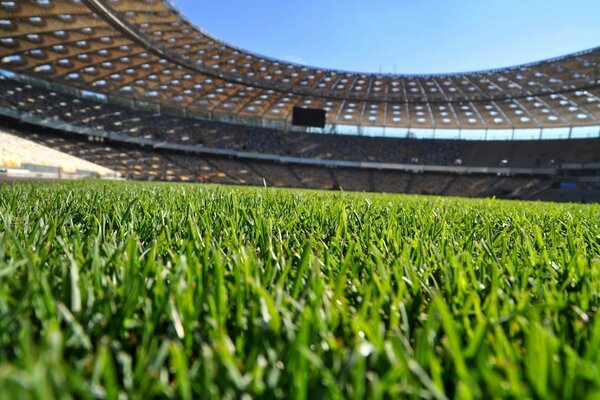 Erba verde sul campo di calcio