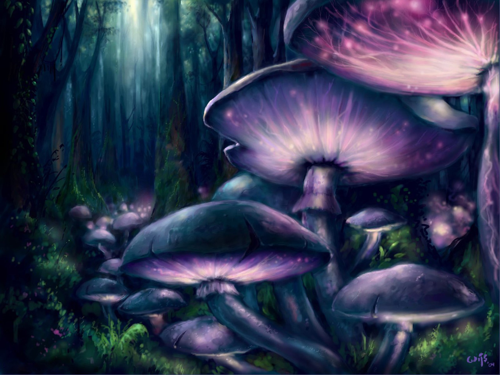 fantasia funghi foresta alberi notte disegno