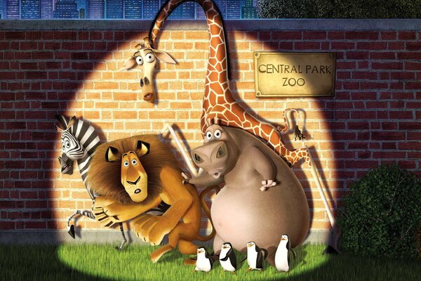 Cartoon for all times - Madagascar