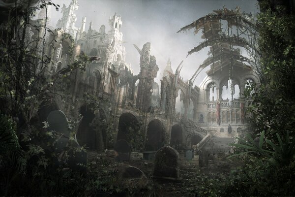 An abandoned temple in the jungle, a ruined city