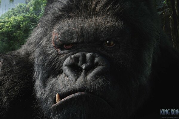 El mono de la película King Kong en el bosque