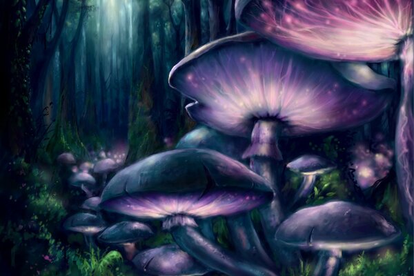 Funghi nella foresta di fantasia notturna