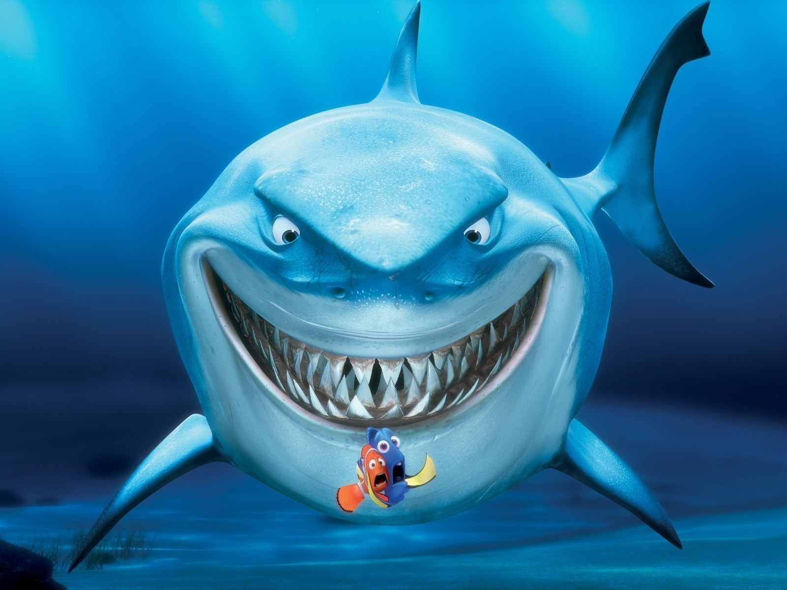 finding nemo shark