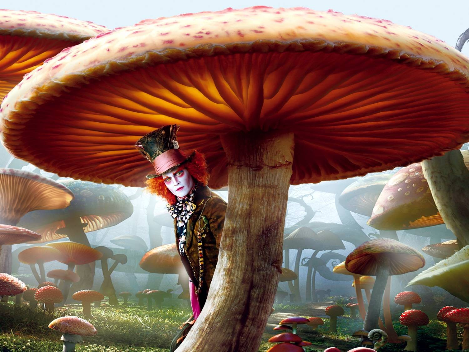 alice in wonderland hatter mushroom