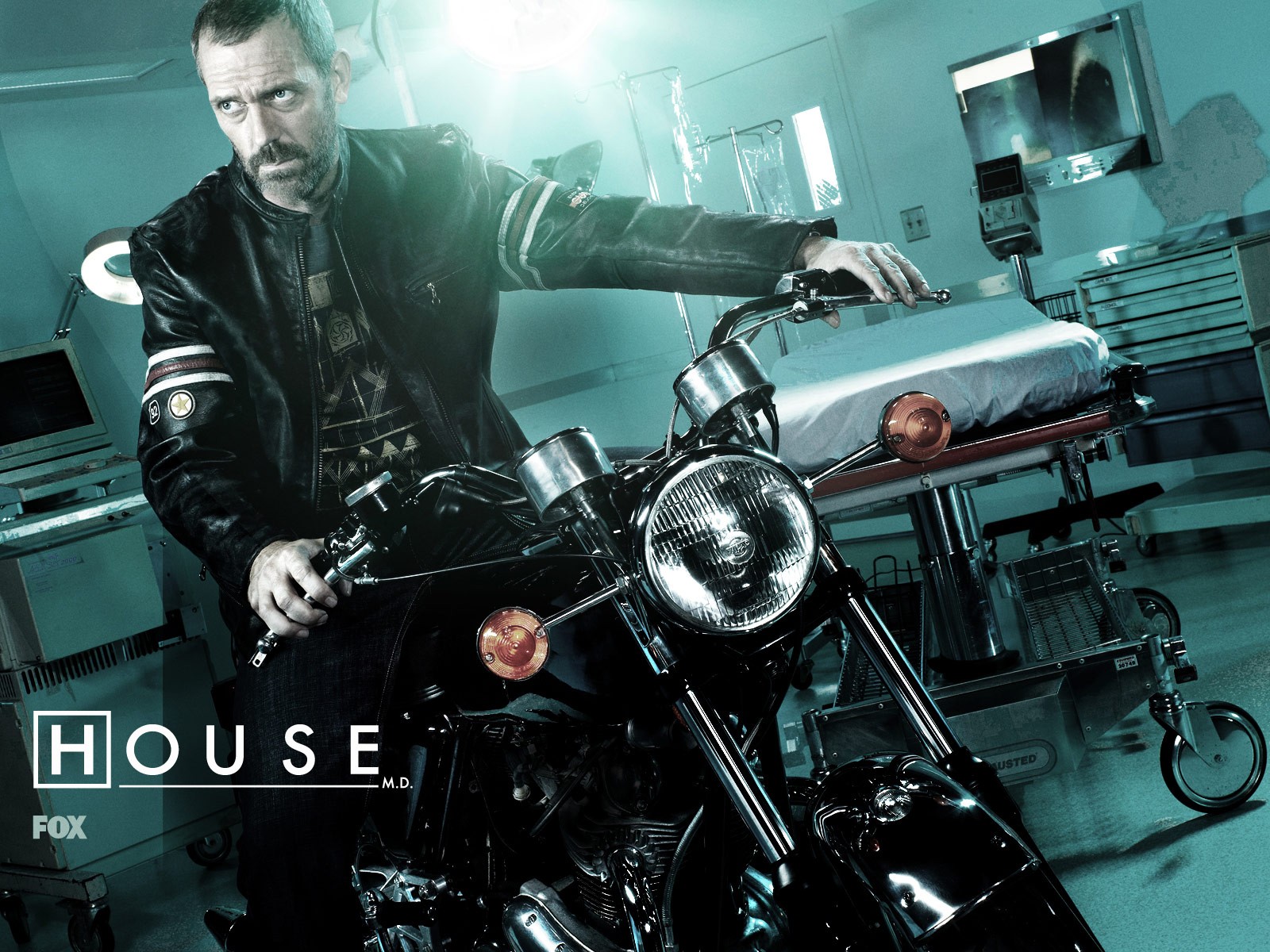 house house md house tv serie