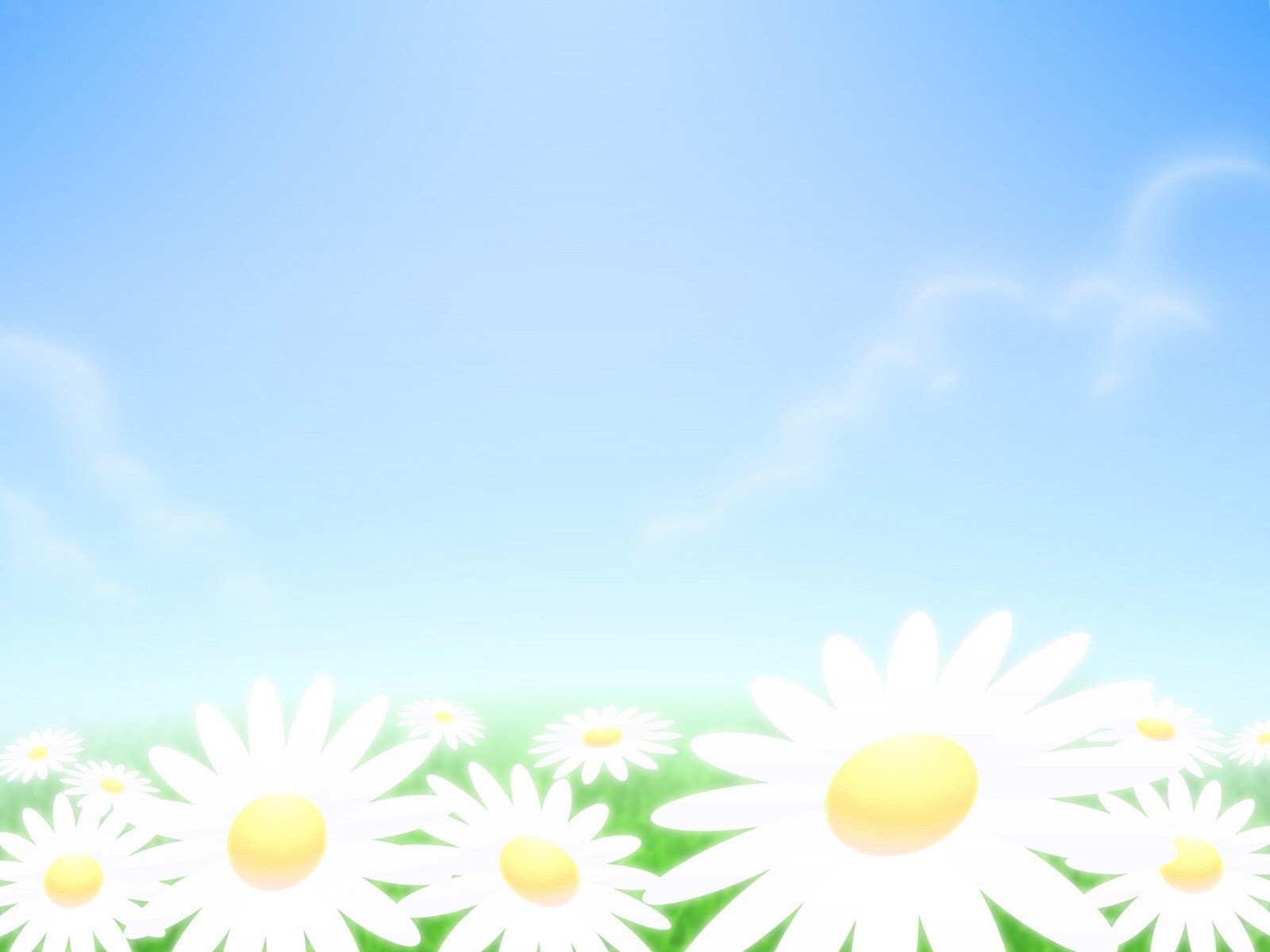 marguerites ciel minimalisme