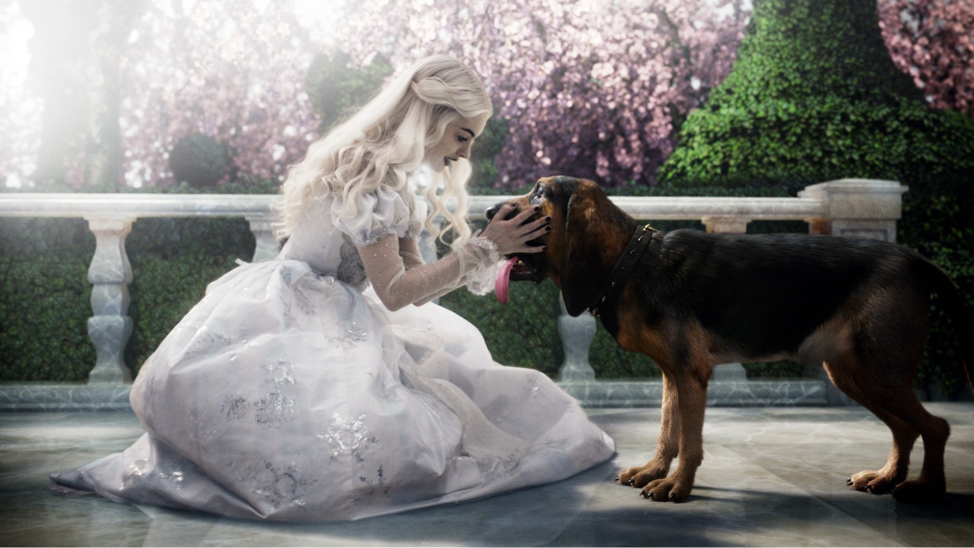 alice anne hathaway film chien