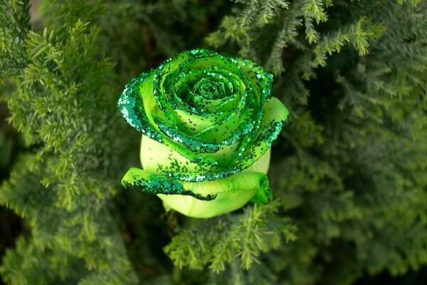 Бутон розы зелёного цвета с блестками