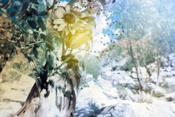 Flower on a background of trees