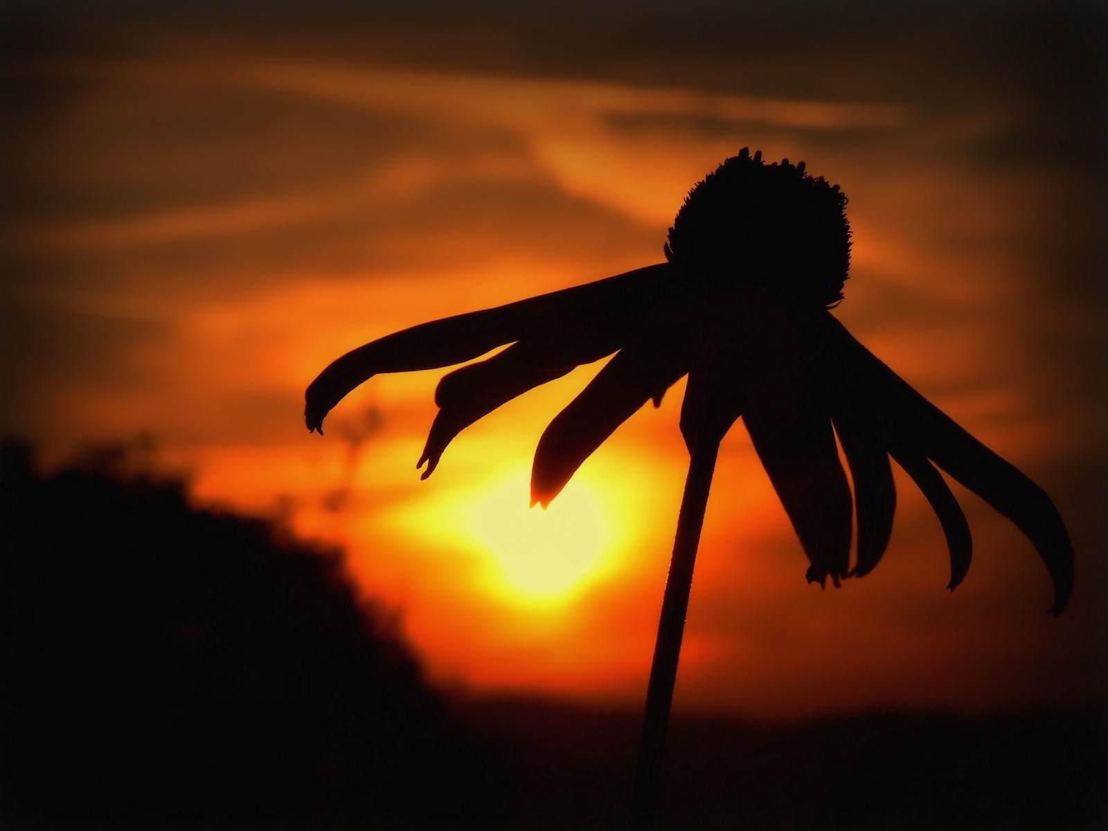 schwarz sonnenuntergang