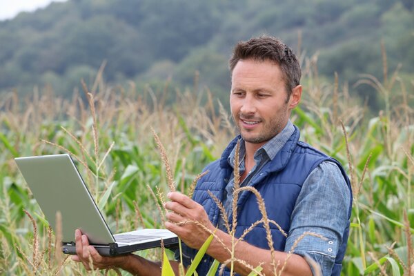 Lavorare sul campo Online è semplice