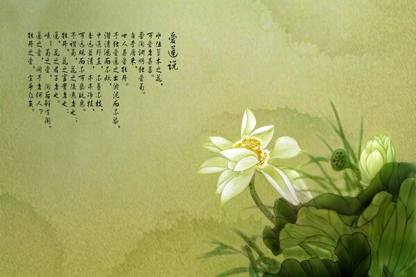 Lotus flower on a background with hieroglyphs