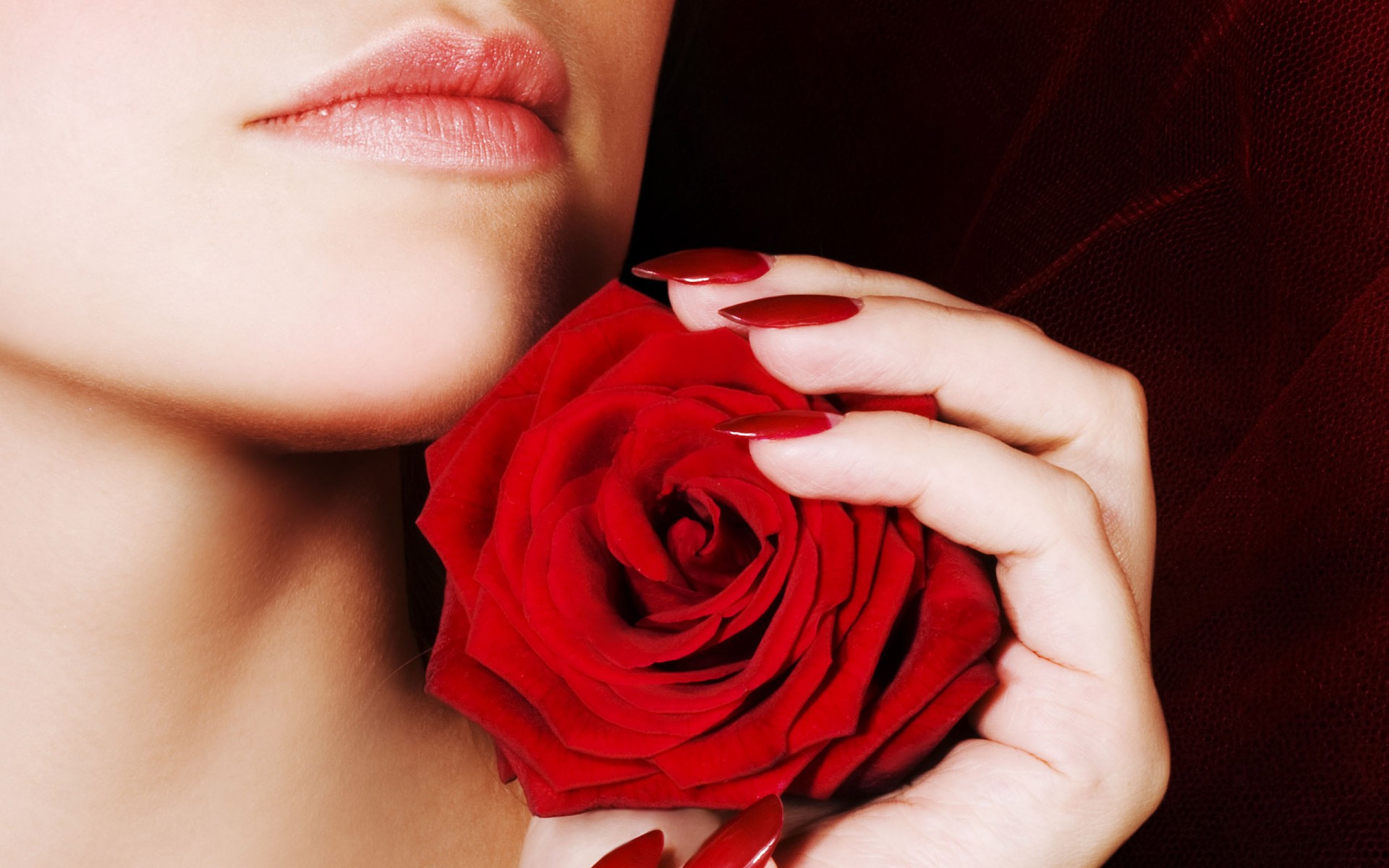 картинки поцелуй розы