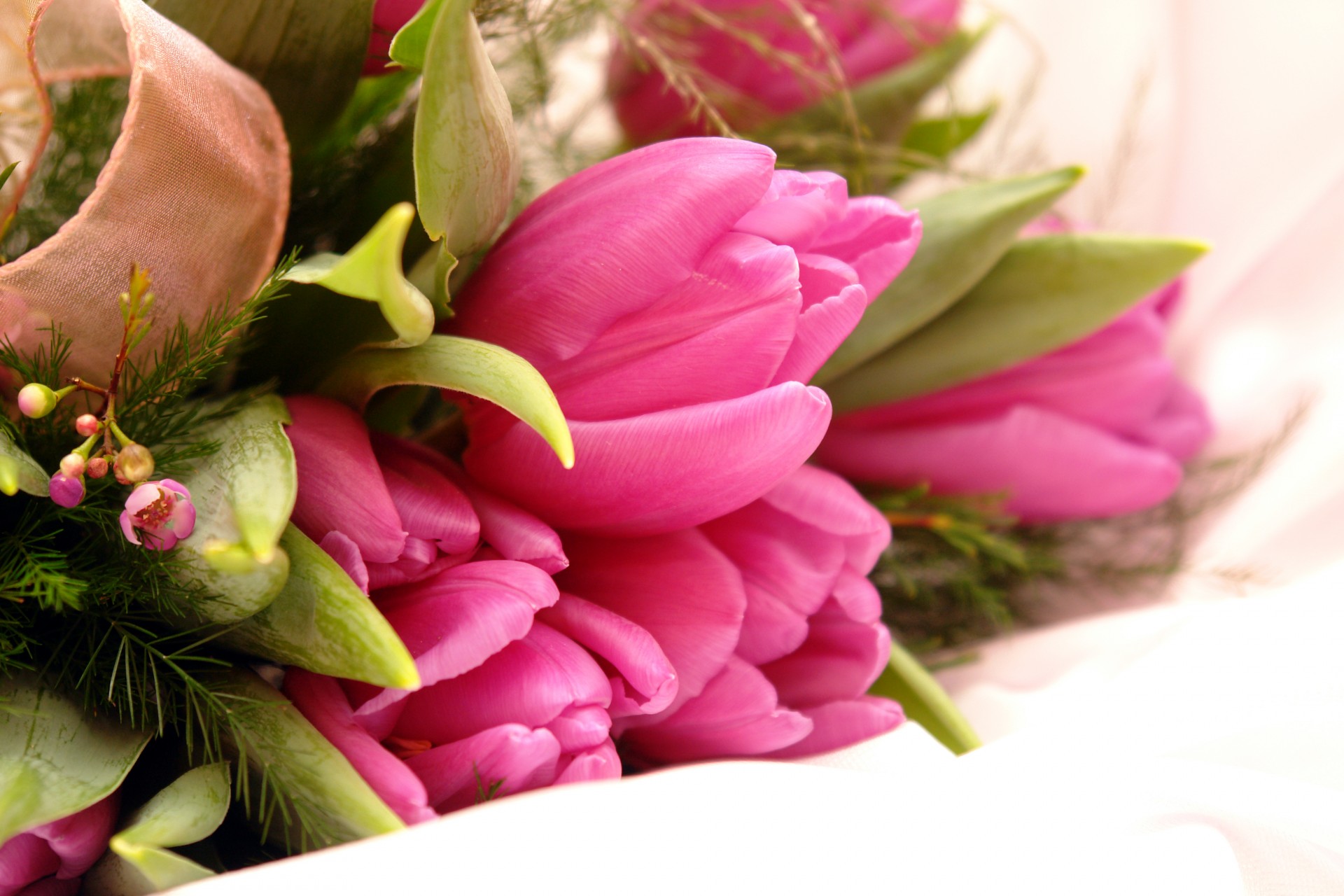 tulipani fiori 8 marzo