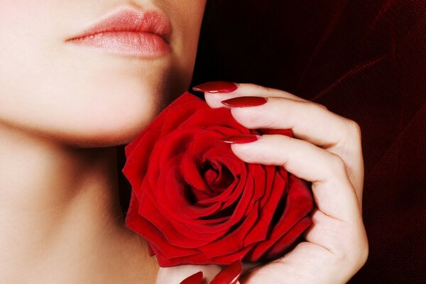 A girl holds a red rose