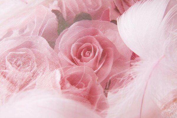 Bouquet de roses roses avec plumes