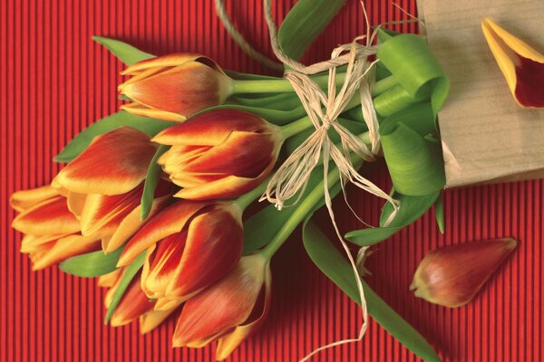 A bouquet of tulips secured with a rope