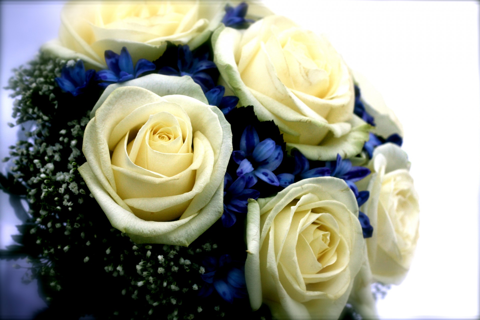 bridal bouquet roses white