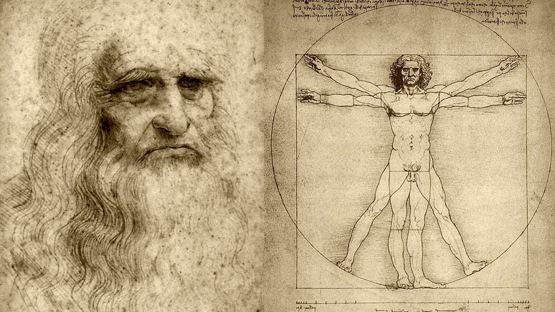 leonardo da vinci praca artysta zeszyt mes