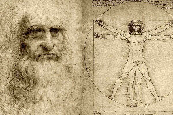 Vitruvian Man- drawing by Leonardo da Vinci