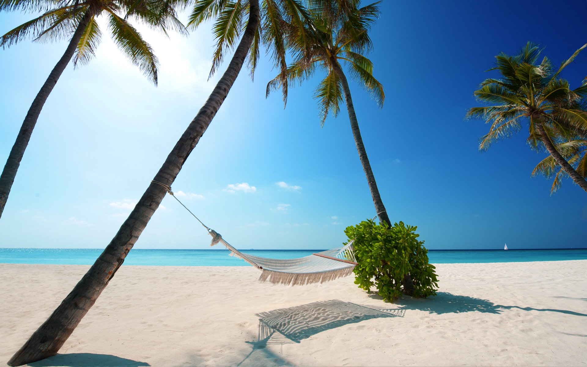 paesaggio costa spiagge sabbia mattina cielo sole luce raggi di sole estate caldo palme palma albero pianta piante acqua mare oceano relax relax amaca