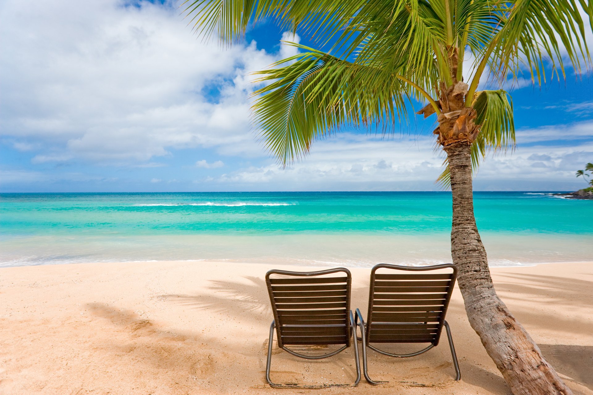 été îles chaleur loisirs humeur paysages côte plage chaises chaises longues palmiers arbres mer vagues eau océan