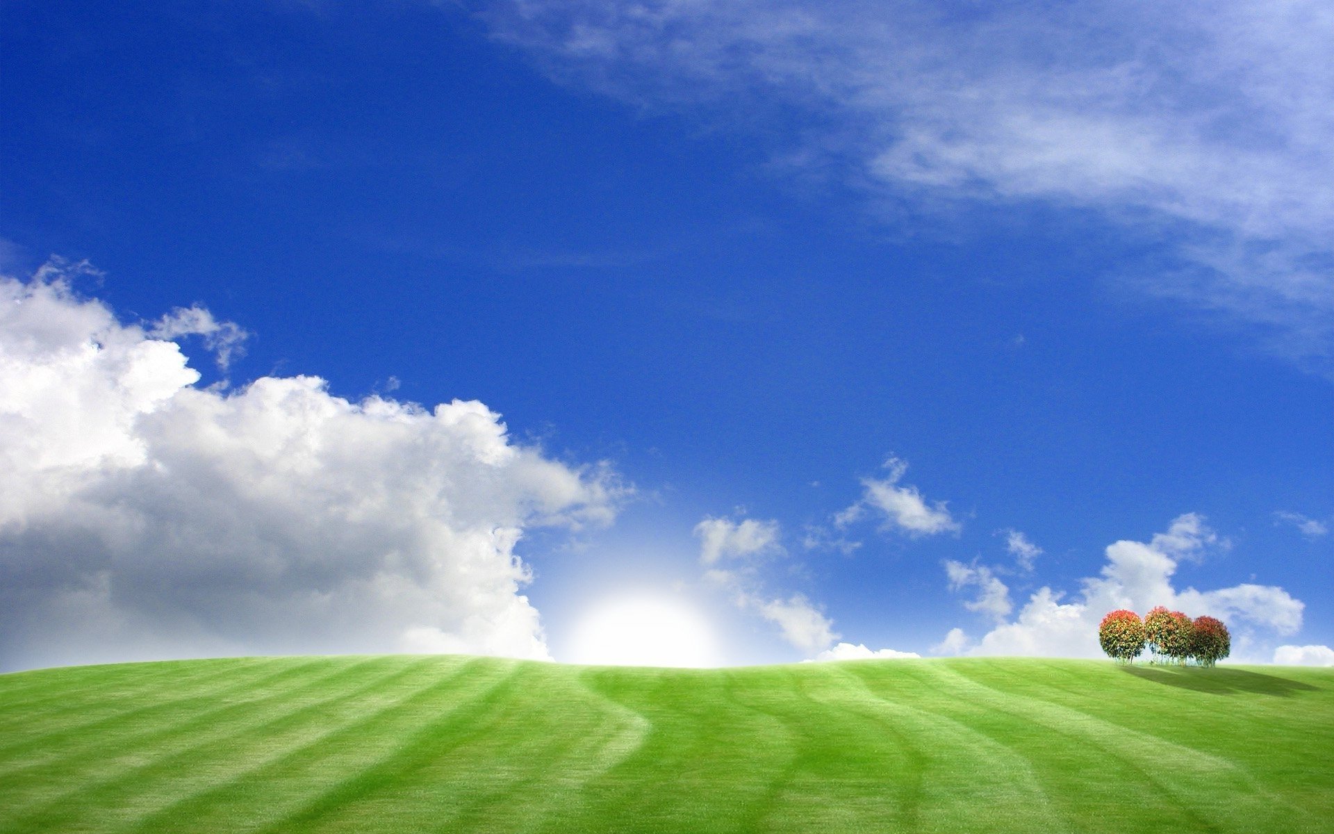 paesaggi alberi erba colline campi campi cielo