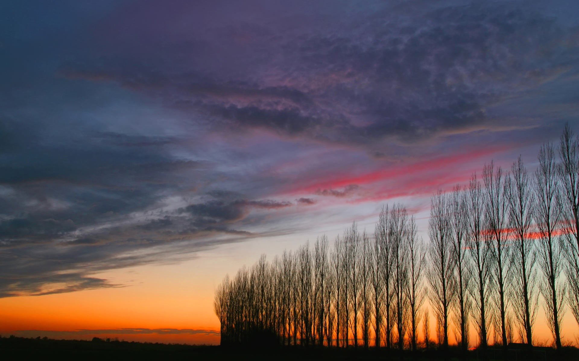 ciel arbres coucher de soleil