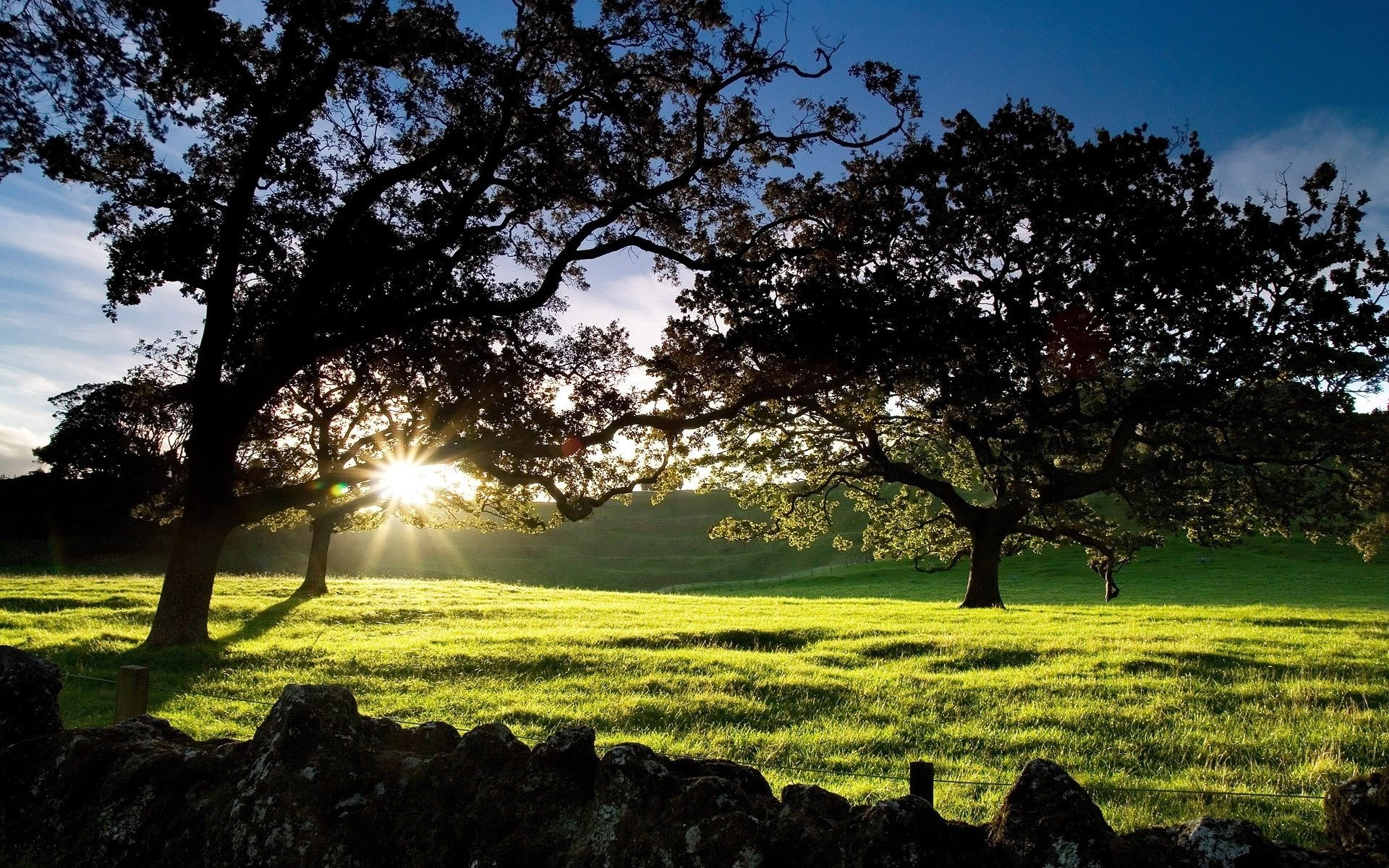 cornwall park new zealand dawn