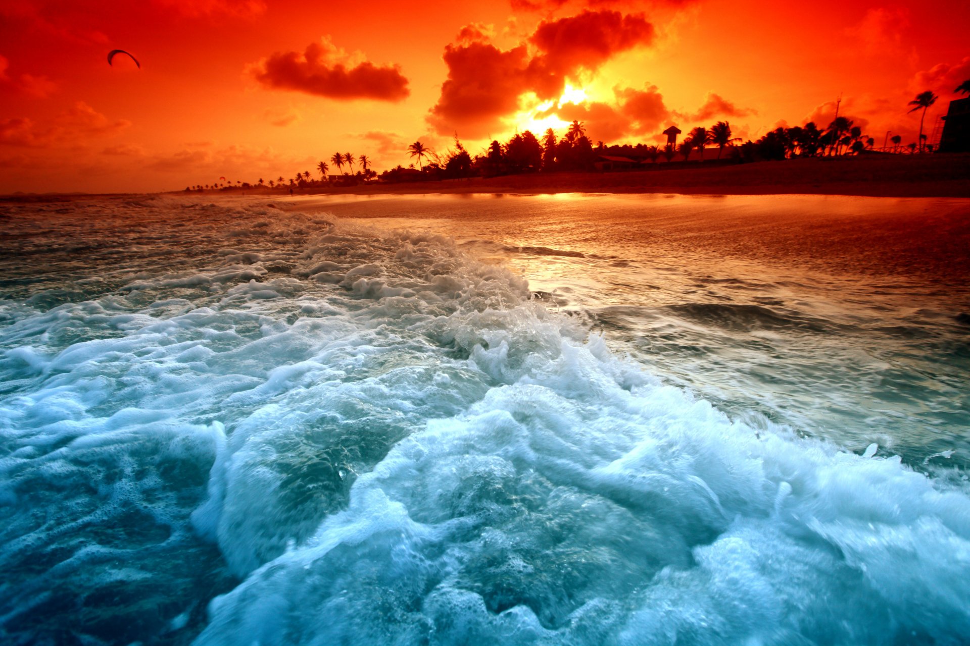 spiaggia tramonto spiaggia onde palme