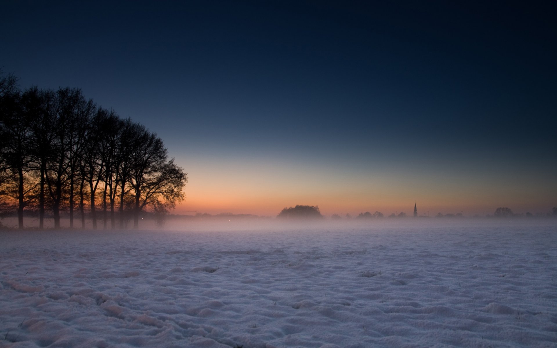 landscape fog tree tree snow winter