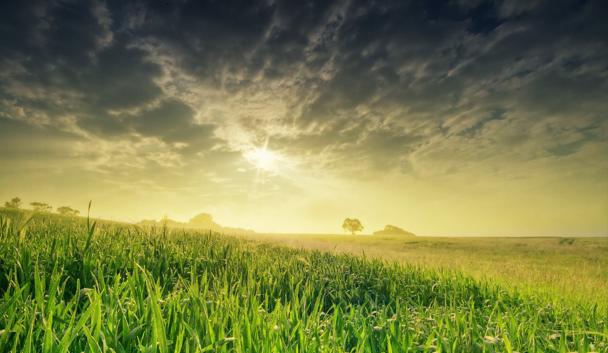 nature spring the field sky sun