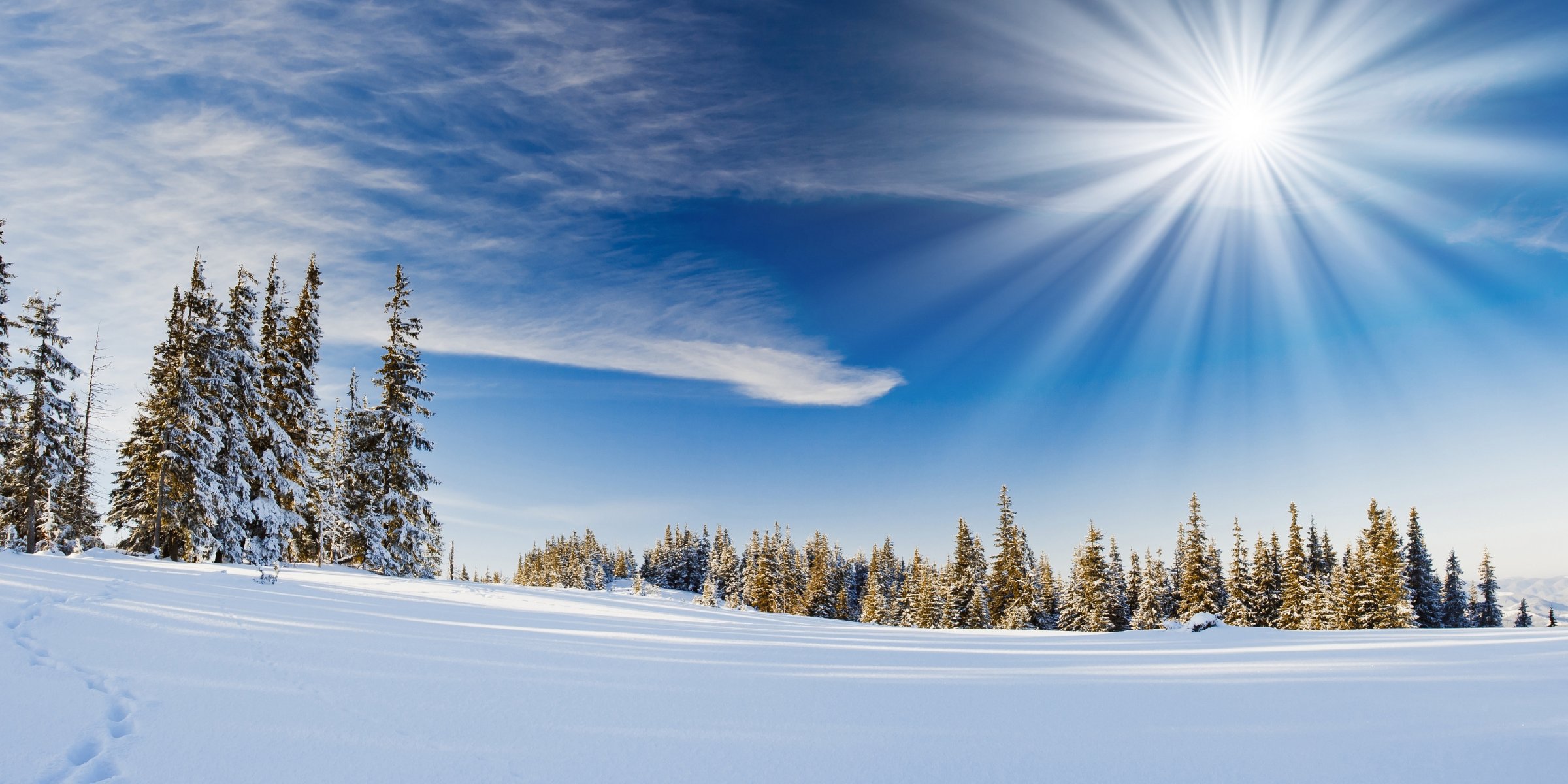 doppel multi landschaft natur winter schnee fichte fichte baum bäume hügel ansicht orte