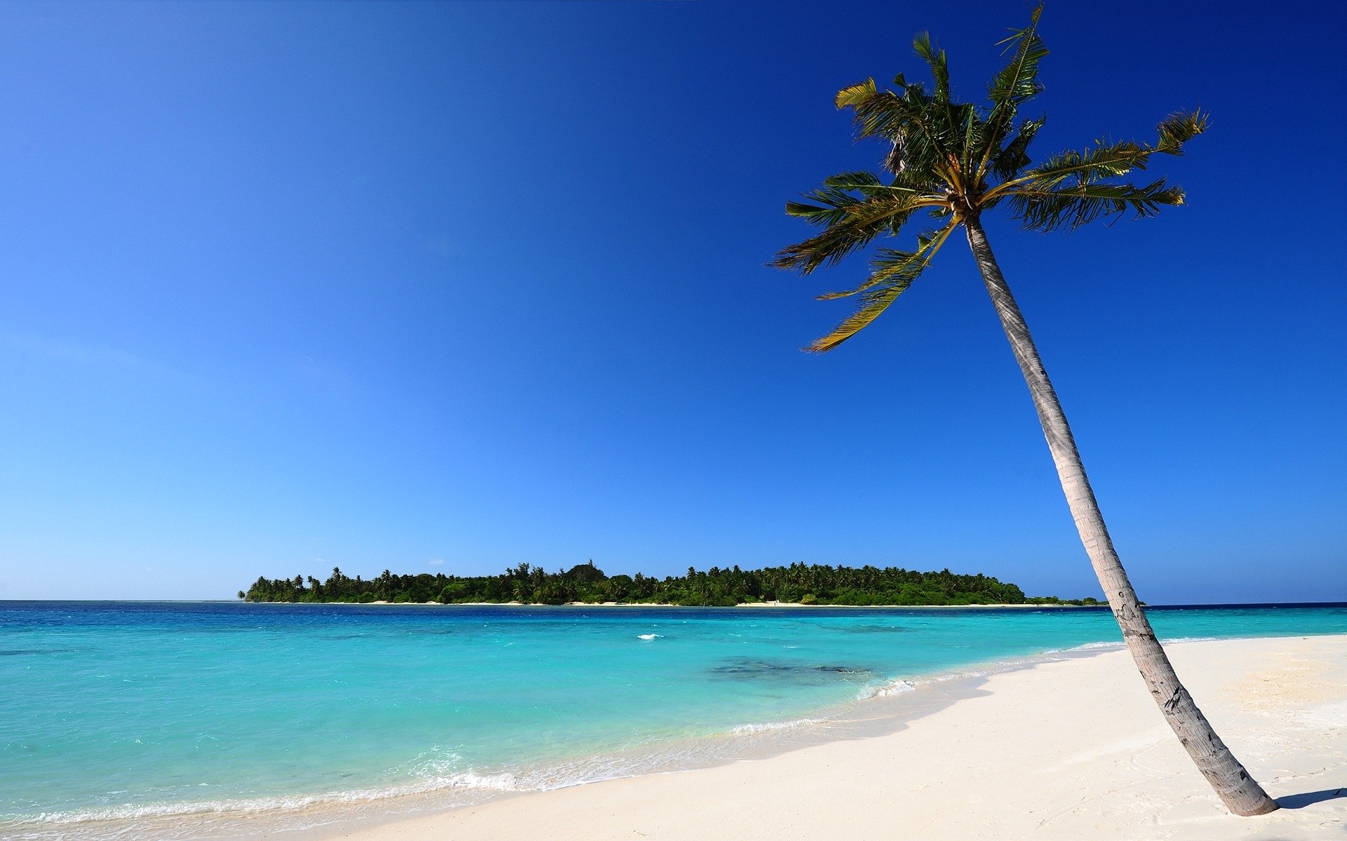 paisaje agua costa mar océano islas arena árbol árboles hojas palma palmeras plantas verano calor del lugar cielo