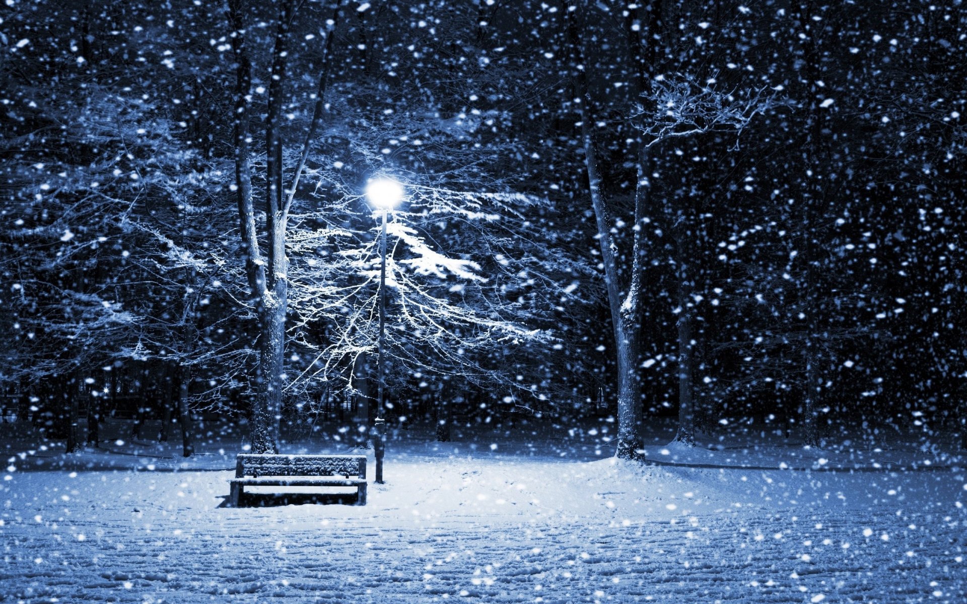 hiver soirée banc lanterne lumière neige arbres branches givre