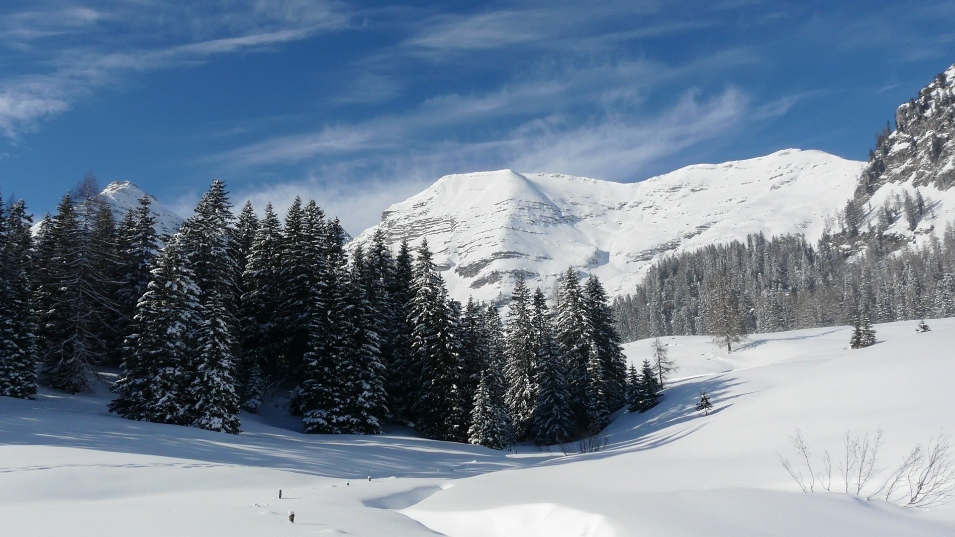 hiver neige forêt montagnes